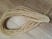 Сенегальские блонд 