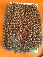 Афрокудри 30см #30